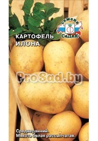 Картофель Илона
