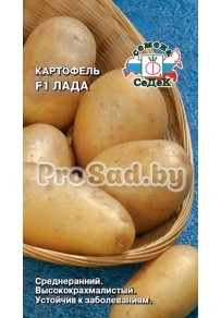 Картофель F1 Лада