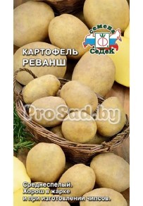 Картофель Реванш