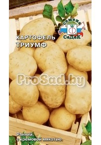 Картофель Триумф
