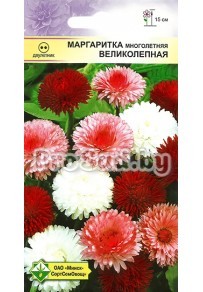 Маргаритка Великолепная, смесь