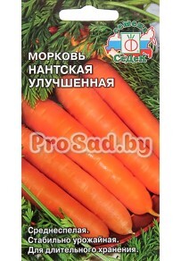 Морковь Нантская улучшенная