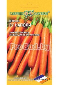 Морковь F1 Наполи (Голландия)