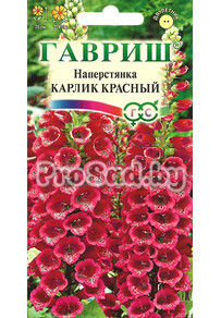 Наперстянка Карлик красный