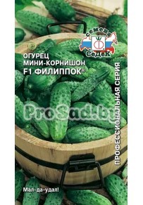 Огурец мини-корнишон F1 Филиппок