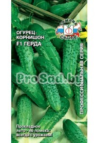 Огурец-корнишон F1 Герда
