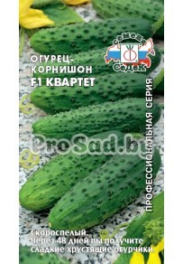 Огурец-корнишон F1 Квартет