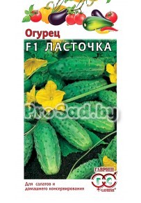Огурец F1 Ласточка