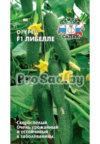 Огурец F1 Либелле