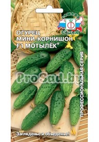 Огурец мини-корнишон F1 Мотылёк