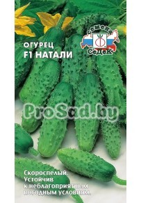 Огурец F1 Натали