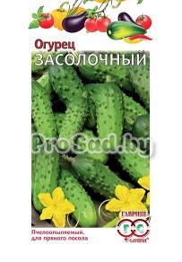 Огурец Засолочный