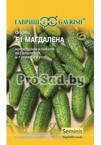 Огурец-корнишон Магдалена