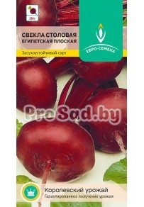 Свекла столовая Египетская плоская