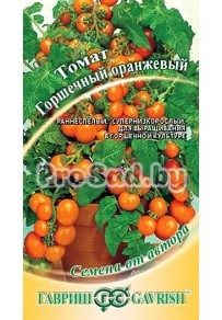 Томат Горшечный оранжевый