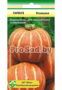 Тыква Улыбка