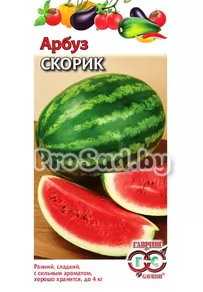Арбуз Скорик
