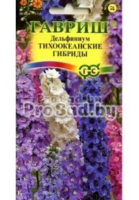 Дельфиниум Тихоокеанские гибриды