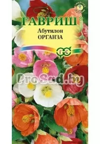 Абутилон Органза