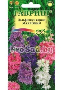 Дельфиниум Аяксов карликовый Махровый