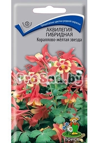Аквилегия гибридная Кораллово-жёлтая звезда