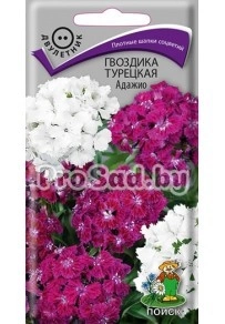Гвоздика турецкая Адажио, смесь