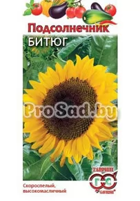 Подсолнечник Битюг​