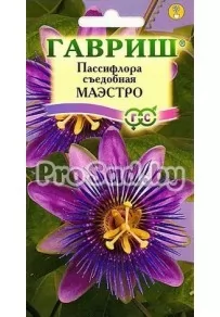 Пассифлора съедобная Маэстро