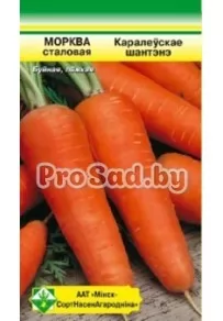 Морковь Королевское шантенэ