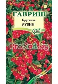 Брусника Рубин