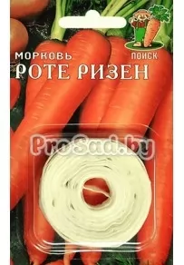 Морковь Роте ризен