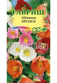 Абутилон Органза