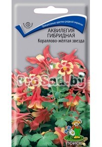 Аквилегия гибридная Кораллово-жёлтая звезда