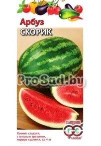 Арбуз Скорик