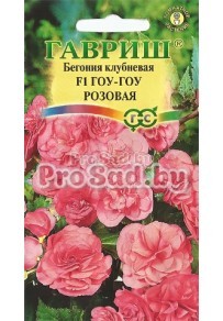 Бегония клубневая Гоу-Гоу Розовая