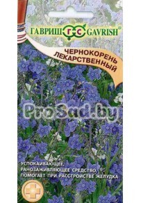 Чернокорень лекарственный