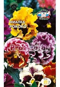 Фиалка витрокка Рококо