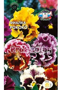 Фиалка витрокка Рококо