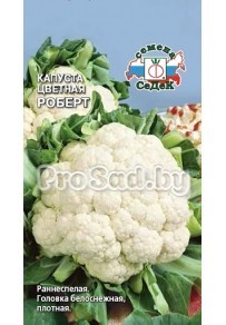 Капуста цветная Роберт
