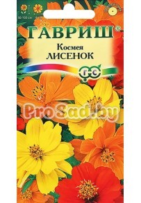 Космея Лисёнок