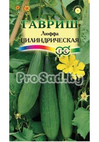 Люффа Цилиндрическая