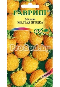 Малина Жёлтая ягодка