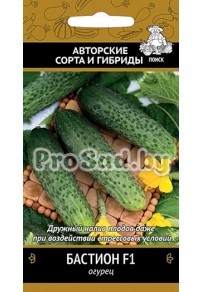 Огурец F1 Бастион