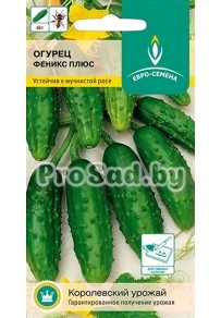 Огурец Феникс Плюс