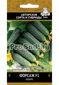 Огурец F1 Форсаж