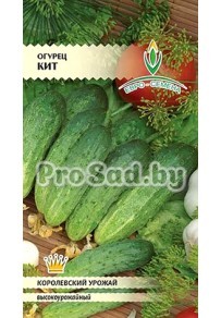 Огурец Кит