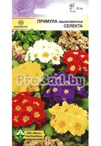 Примула обыкновенная Селекта