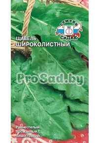 Щавель Широколистный