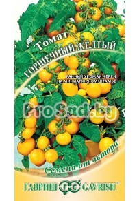 Томат Горшечный жёлтый