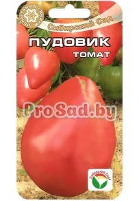 Томат Пудовик